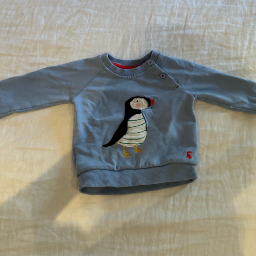 COPY - Joules Harvey Raglan sweatshirt; size 12-18 mos
